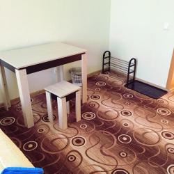 2-местный номер стандарт эконом с 1 двуспальной кроватью