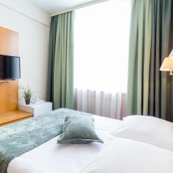 Номер стандарт с 1 двуспальной кроватью