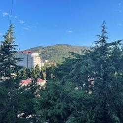 Фото Апартаменты на Краснополянской