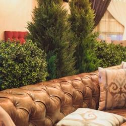 Фото Отель Orion (Орион)