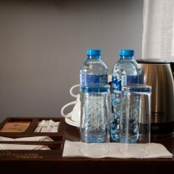 Фото Отель Gino Wellness Mtskheta (Джино Велнесс Мцхета)