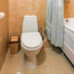 Комната люкс с 1 двуспальной кроватью