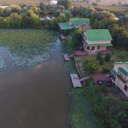 Фото Отель База отдыха Ольга