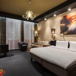 фото 20 Radisson Sonya Hotel (Рэдиссон Соня)