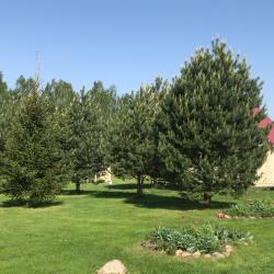 Фото Отель Дункан