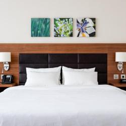 Фото Отель Hilton Garden Inn Krasnoyarsk (Хилтон Гарден Инн )