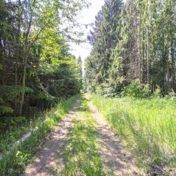 Фото поле-отель