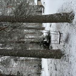 Фото Отель Застава