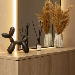 2-комнатные апартаменты люкс Липецк, Октябрьская, 7