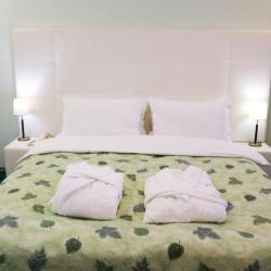 Номер люкс бизнес с 1 двуспальной кроватью