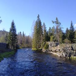 Фото Отель База отдыха Хекселя