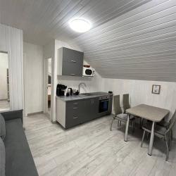 2-комнатные апартаменты стандарт (мансарда)