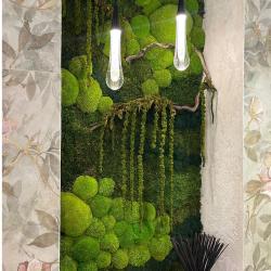 Фото Апартаменты на улице Мускатная 9 корпус 4