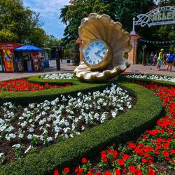 Фото Отель Мое море