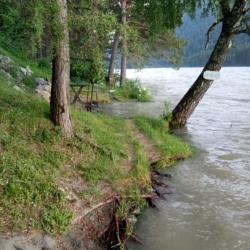 Фото Отель Феникс в Узнезе