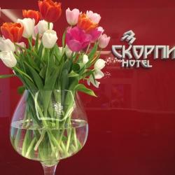 Фото Отель Скорпион