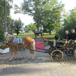 Фото Отель Старая аптека