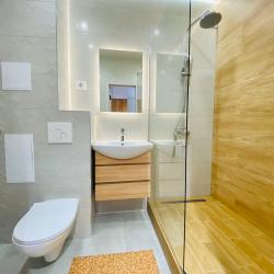 1-комнатные апартаменты люкс