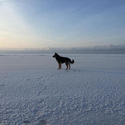 Фото Отель Сёрф-станция Wind Hunters Station (Винд Хайнтерс Стейшен)