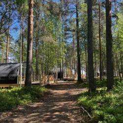 Фото Отель Хвоя. Карелия