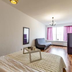 2-комнатные апартаменты улучшенные BeGuest Белинского 108