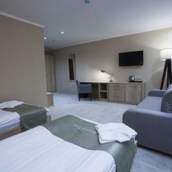 Фото Отель Renion Park Hotel (Ренион Парк)