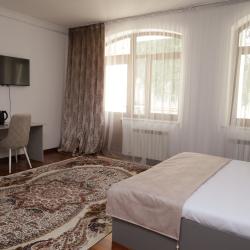 Номер стандарт с 1 двуспальной кроватью