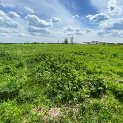 Фото Отель Экоферма Егорово поместье