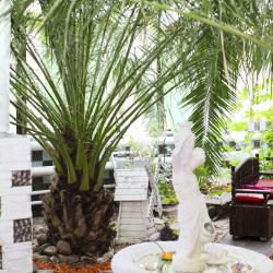 Фото Отель ский двор