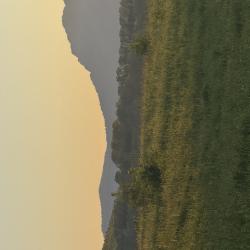 Фото Отель Loft house Ковчег (Лофт хаус)