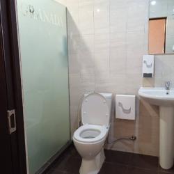 Номер делюкс с 1 двуспальной кроватью (с завтраком)