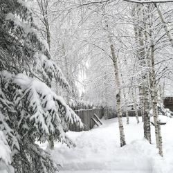Фото Отель Гостевой дом Окулова Заимка