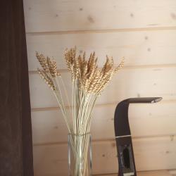 Фото Отель Тишь