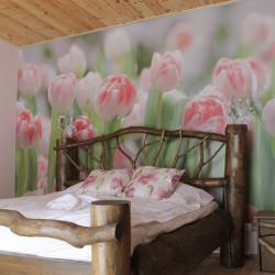 Фото Отель Большая Медведица