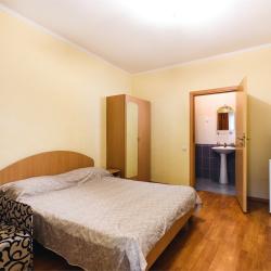 Номер стандарт с 1 двуспальной кроватью (цокольный этаж)