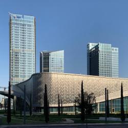 Фото Отель T-City Presidential Hotel (Т-Сити Президентиал)