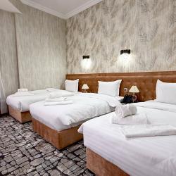 Фото Отель Maksima Premium (Максима Премиум)