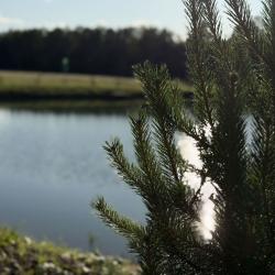 Коттедж стандарт с 2 односпальными кроватями