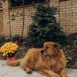 Фото Апартаменты на улице Садовая 5