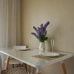 Фото Апартаменты Savina на улице Тургенева 16А