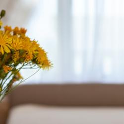 Коттедж стандарт (мансарда)