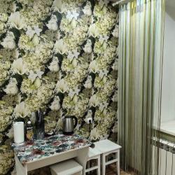 Фото Апартаменты на улице Богомягкова 2к2
