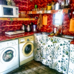 Фото Отель Кедровый берег