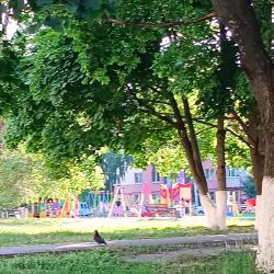 Фото Апартаменты в микрорайоне Приборостроитель