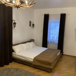 Фото Отель Шишкин Лес