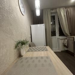 Фото Апартаменты на проспекте Ленина 157