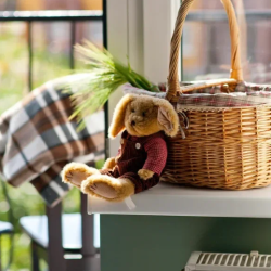 Фото Отель Plantage на Пионерской (Плантаж)