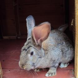 Фото Отель Рубикон