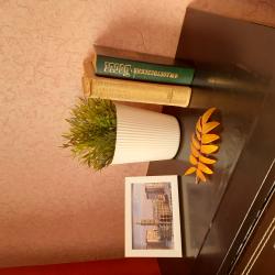 Фото Апартаменты на проспекте Мира 26А