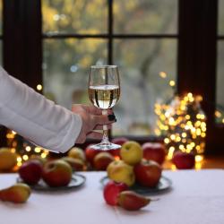 Фото Отель Сафари-Парк